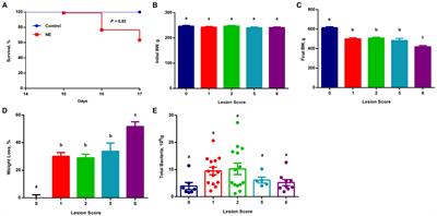 Identification of an Intestinal Microbiota Signature Associated With the Severity of Necrotic Enteritis